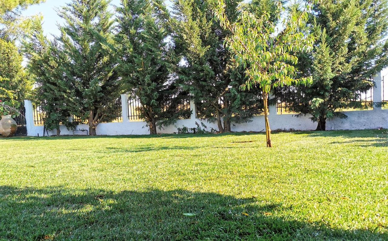 Casa Das Portas Azinhaga Buitenkant foto